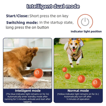 Automatic Moving Ball for Dogs – image 4