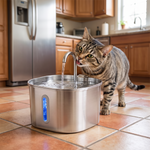 Tabby cat drinking from the stainless steel automatic cat water fountain
