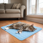 Cat napping on the cooling pet mat in a sunny living room