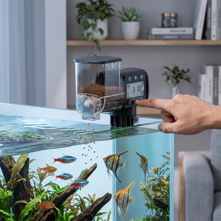Automatic fish feeder with digital timer mounted on a home aquarium