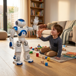 Humanoid Robot Toy