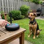 Wireless Dog Training Collar