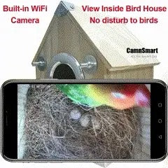 Birdhouse Camera 4MP AI Night Vision, Bird House with Camera Live View via App – image 6
