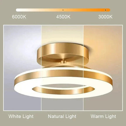 Flush Mount Ceiling Light, Dining Room Light Fixture in Black or Gold