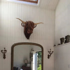 Highland Cow Sculpture Wall Mounted, Highland Cattle Wall Art, 3D Highland Cow Decor, Rustic Farmhouse Wall Decor