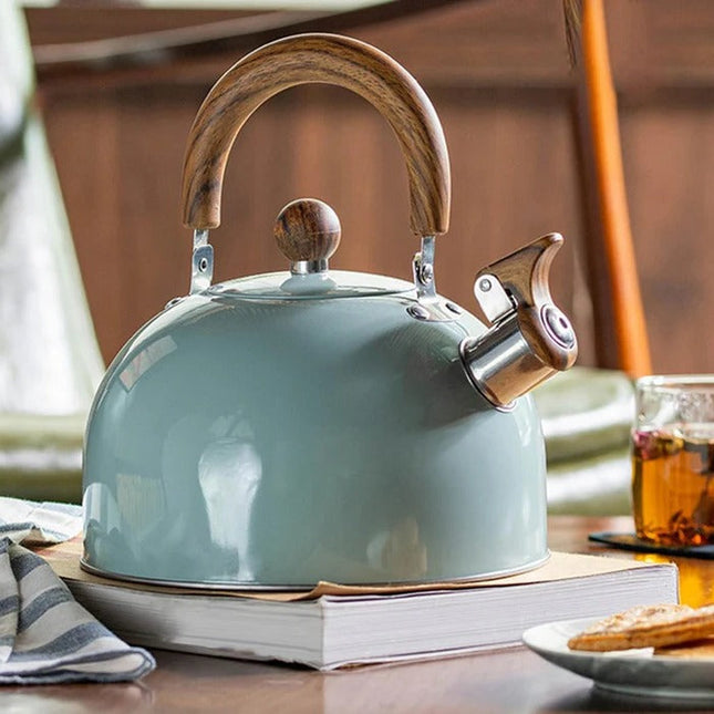 Tea Kettle for Stovetop, Whistling Tea Kettle with Insulated Handle