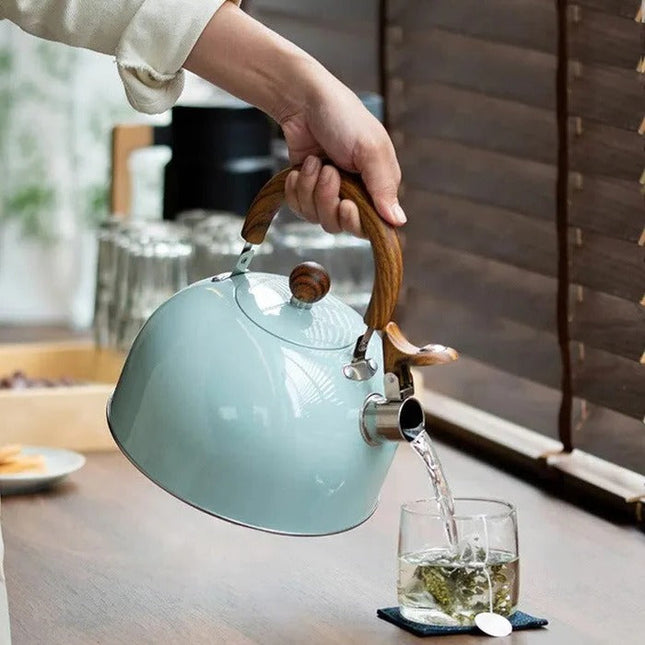 Tea Kettle for Stovetop, Whistling Tea Kettle with Insulated Handle, Large Water Kettle for Induction and Gas Stoves