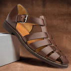 6 / Brown