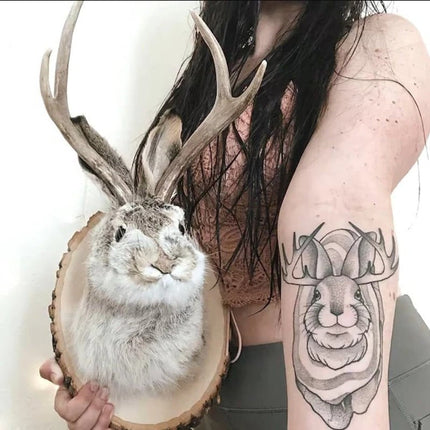 Jackalope Wall Decor with Back Hook, Rustic Wall Decor Plaque