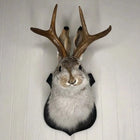 Jackalope Wall Decor with Back Hook, Jackalope Mount for Living Room Wall Decor, Rustic Wall Decor Plaque
