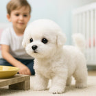Interactive Plush Puppy Toy for Kids, Realistic Barking Dog Toy with Lifelike Movements – image 4