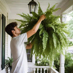 Tuzwa Artificial Fern Plant – UV-Resistant Faux Greenery with 18 Full Fronds, Bendable Stems for Indoor & Covered Outdoor Decor