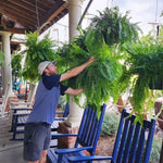 Tuzwa Artificial Fern Plant – UV-Resistant Faux Greenery with 18 Full Fronds, Bendable Stems for Indoor & Covered Outdoor Decor