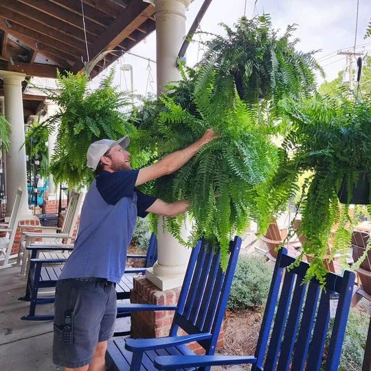 Tuzwa Artificial Fern Plant – UV-Resistant Faux Greenery with 18 Full Fronds, Bendable Stems for Indoor & Covered Outdoor Decor