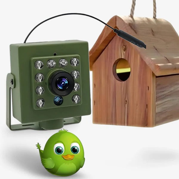 Bird Camera WiFi 1080P, Birdhouse Camera with Night Vision