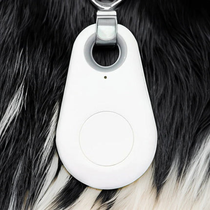 Dog Tracker Waterproof, Cat Tracker with Safe Zone Alerts