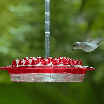 Hummingbird Feeder with Ant Moat, Bird Feeder for Window or Tree – image 6