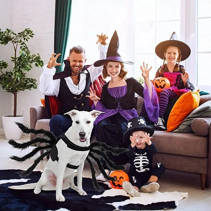 Dog Spider Costume, Funny Dog Costume – image 6