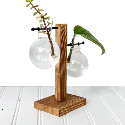 Wooden frame hydroponic plant vase, soil free water planter for indoor wall display, Type A, Type B, Type C