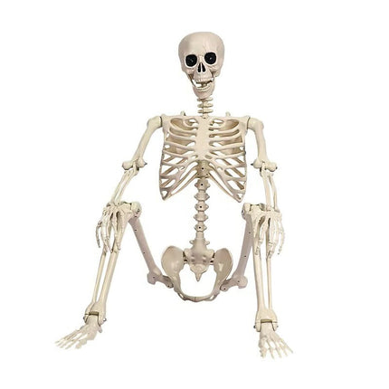Life Size Halloween Skeleton, Skeleton Halloween Decor with Posable Joints – image 5