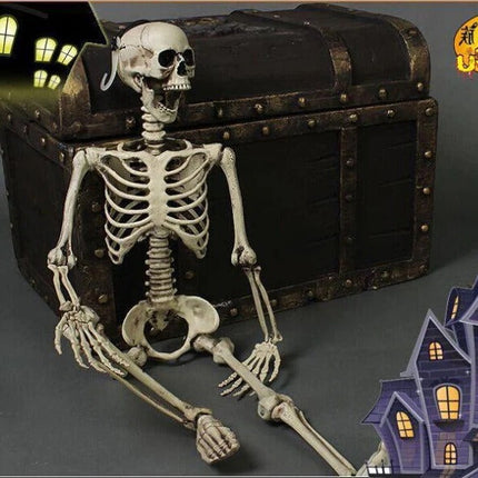 Life Size Halloween Skeleton, Halloween Props – image 4