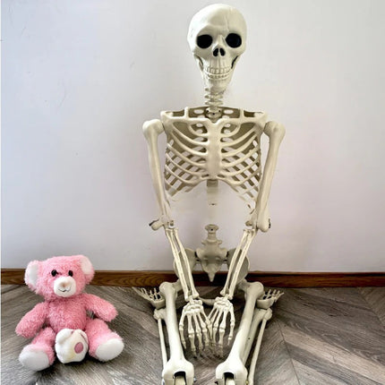Life Size Halloween Skeleton, Skeleton Halloween Decor with Posable Joints
