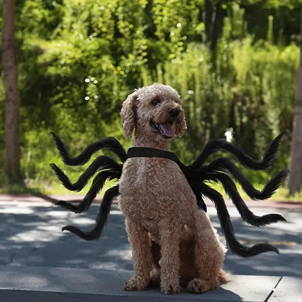 Dog Spider Costume, Dog Halloween Outfit with Spider Legs – image 5