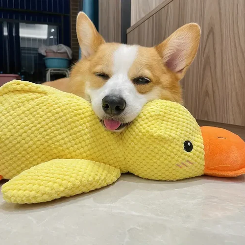 Interactive Dog Toy with Calming Quacking Sound