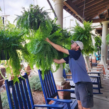 UV Resistant Artificial Boston Fern for Outdoors, Lifelike Fake Hanging Greenery Plant with 18 Branches for Patio, Porch and Home Decor
