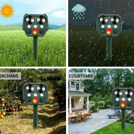 Cat Repellent Outdoor, Fox Repellent and Squirrel Deterrent – image 7