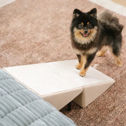 Dog Ramp for Couch and Bed, Foldable Pet Stairs with Non Slip Pad – image 8