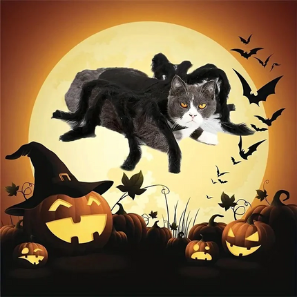 Dog Spider Costume, Cat Halloween Outfit – image 4