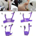 Tuzwa Soft Dog Muzzle – Adjustable Breathable Mesh Muzzle for Walking, Training & Vet Visits, Sizes S–XXL