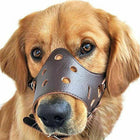 Dog Muzzle for Small Dogs and Large Dogs, Breathable Mesh Dog Muzzle with Adjustable Buckle, Soft Dog Biting Muzzle