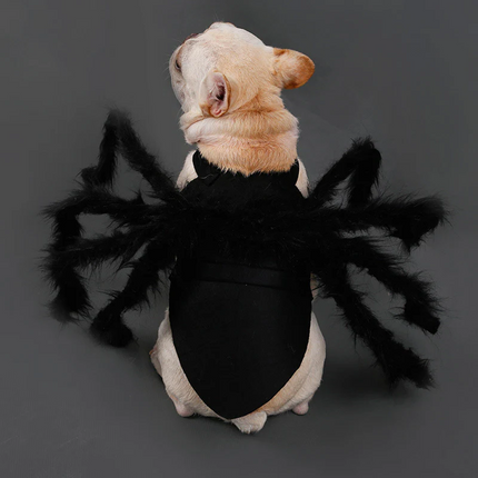 Dog Spider Costume, Dog Halloween Outfit with Spider Legs