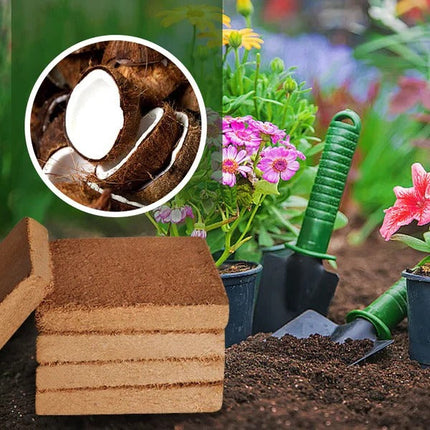 Compressed Coco Coir, Coconut Coir for Plants, Coconut Fiber Soilless Growing Medium for Indoor and Outdoor Use