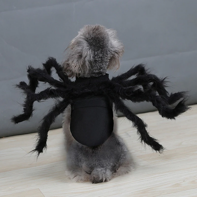 Dog Spider Costume, Dog Halloween Outfit with Spider Legs, Funny Dog Costume, Cat Halloween Outfit