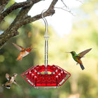 Ant Proof Hummingbird Feeder with Ant Moat, Hanging Hummingbird Feeder with 30 Feeding Ports, Bird Feeder for Patio