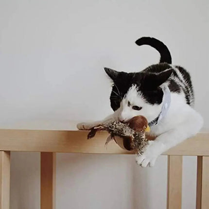 Interactive Cat Toys for Indoor Cats, Motion Activated Plush Cat Toy – image 5