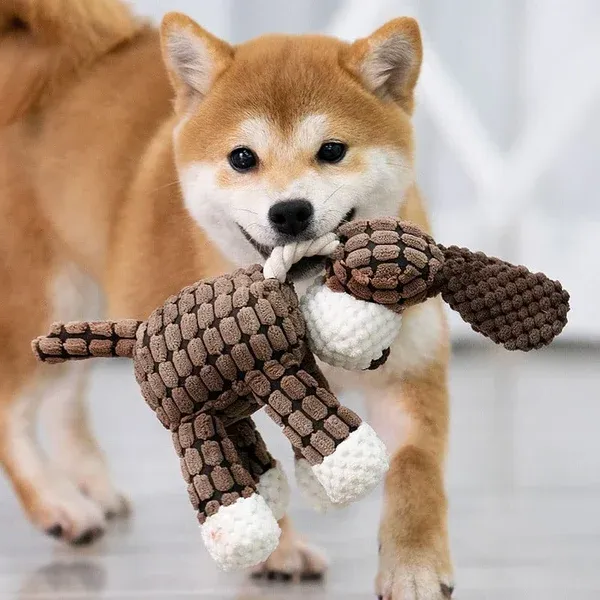Dog Chew Toy for Aggressive Chewers, Puppy Chew Toy for Teething – image 4