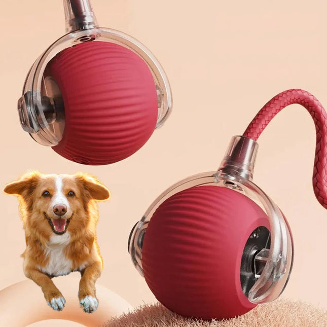 Interactive Dog Toy Rolling Ball with Tail