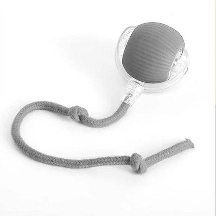 Battery Operated Dog Toy – image 3