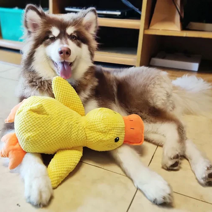 Duck Dog Toy, Durable Dog Toy – image 4