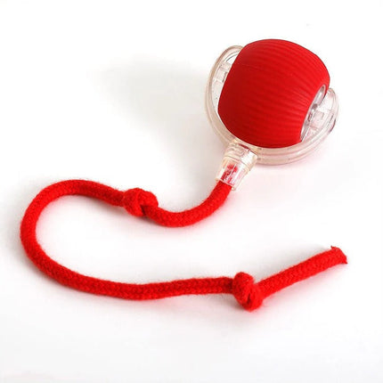 Dog Ball Toy with Random Bounce and Roll – image 9