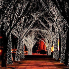 Solar Fairy Lights Outdoor 55 ft 100 LED, Solar String Lights for Garden and Trees, Outdoor Lights for Fence