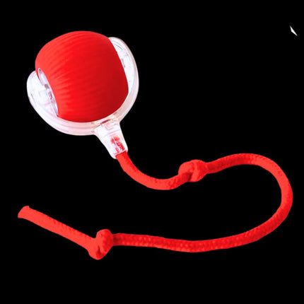 Cat Toy for Kittens, Self Rolling Cat Ball Toy with Silicone Shell – image 4