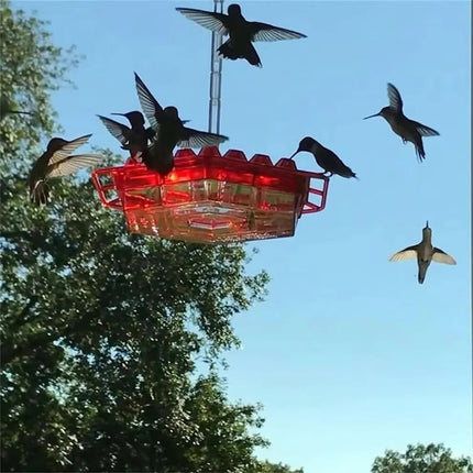 Ant Proof Hummingbird Feeder with Ant Moat, Bird Feeder for Patio – image 9