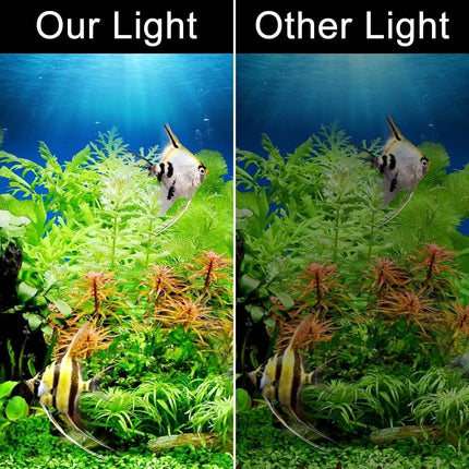 Aquarium Light, Slim Waterproof Clip On Fish Tank Light with Blue and White LEDs – image 6