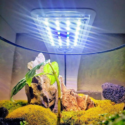 Aquarium Light, Betta, Nano and Shrimp Tank – image 9