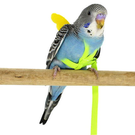 Parrot Bird Harness and Leash, Avian Harness for Cockatiels – image 4